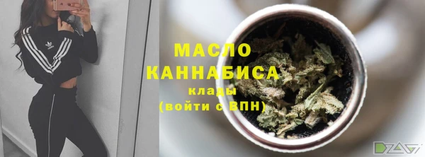 дмт Богданович